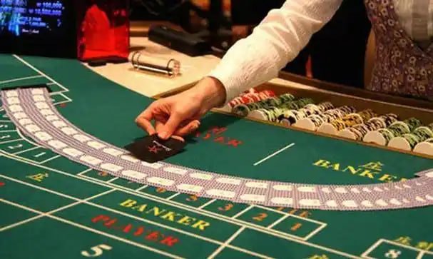 36t bet